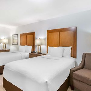 Double Room Two Double Beds Roll Shower Disability Access